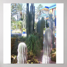 Cactus, cactus, cactus posters