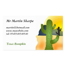 Cactus de désert cartes de visite personnelles