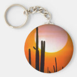Cactus de Saguaro, désert de Sonoran, désert des E Porte-clés