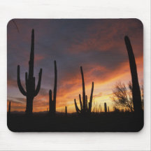 cactus de saguaro, gigantea de Carnegiea, ensuite Tapis De Souris