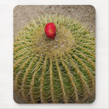 Cactus fleurissant rouge tapis de souris