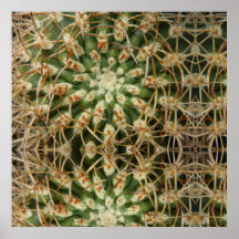 Cactus May 2013 Print