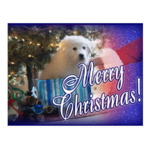 CADEAU DE CHIOT DE NOËL DES GRANDS PYRÉNÉES DE PÈR CARTE POSTALE
