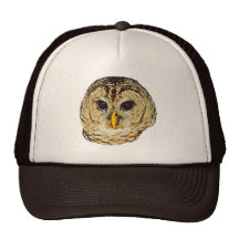 Cadeau de hibou barré casquette