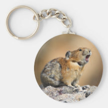 Cadeau de Merci Porte-clef