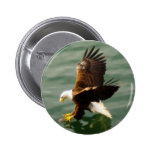 Cadeau de motivation chauve d'Eagle Badge