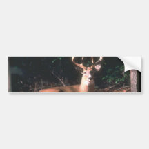 Cadeau populaire de mâle de cerfs communs de White Adhésif Pour Voiture