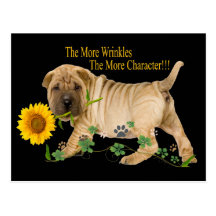 Cadeaux de caractère de Shar-Pei de Chinois Carte Postale