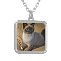 Cadeaux de chaton de raquette bijouterie