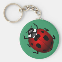 Cadeaux de coccinelle de souvenir d'insecte de Key Porte-clé