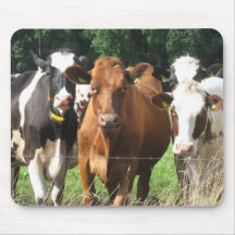 Cadeaux orientés de vaches : Pour toujours amis Mo Tapis De Souris