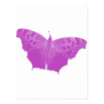 Cadeaux roses de papillon ! carte postale