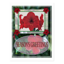 CADRE DE POINSETTA CARTES POSTALES