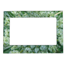 Cadre d'image d'aimant floraisons de gibier grün-w cadres magnétique