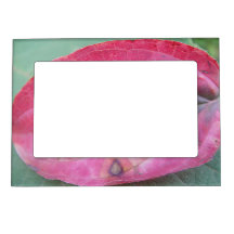 Cadre d'image feuille d'automne rouge