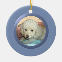 Cadre personnalisé de photo d'animal familier (ble décorations de noël