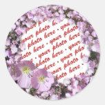 Cadre rose de photo de pavots autocollant rond