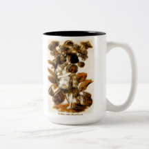 Café avec la tasse d'aubépine
