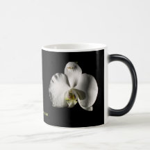 CAFÉ D'ORCHIDÉE ET TASSE MORPHING DE CACAO