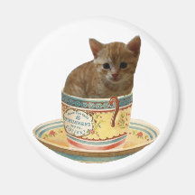 Café n'importe qui ? aimant de chaton