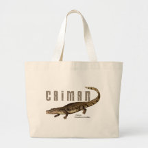 Caiman Sacs
