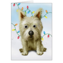 Cairn Terrier 1 Noël Cartes De Vœux