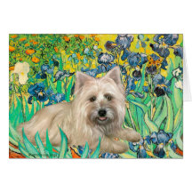 Cairn Terrier 4 - iris Carte De Vœux