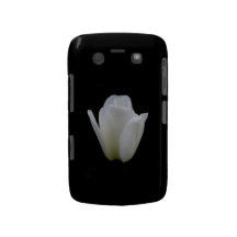 Caisse audacieuse de Blackberry de tulipe blanche Coque Blackberry Bold