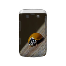Caisse de Blackberry de coccinelle Coques Blackberry
