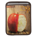 caisse de je-protection de pomme et d'avion poches iPad