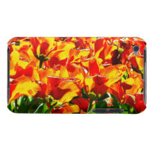 Caisse orange de Coque-Compagnon de contact d'IPod Coque iPod Case-Mate