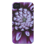 caisse pourpre florale de fleur coques iPhone 4