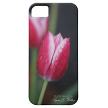 Caisse universelle rouge de l'iPhone 5 de tulipe à iPhone 5 Case