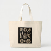 Calcarea Sac Fourre-tout