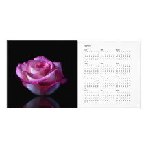 Calendrier rose Photocard Cartes De Vœux Avec Photo