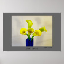 Calla jaune Lillies Posters