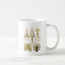 Calmar et poulpe mugs