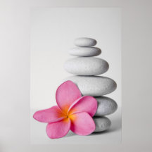 Calme de Frangipani Posters