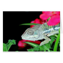 caméléon de panthère cartes de vœux