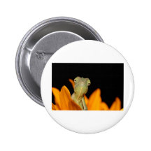caméléon pin's avec agrafe