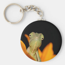 caméléon porte-clés
