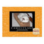 Camouflage Cartes Postales