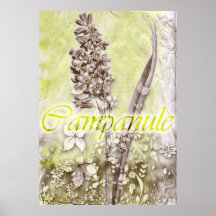 campanule posters