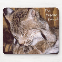Canadien Lynx tapis de souris
