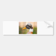Canard avec le Mohawk Autocollants Pour Voiture