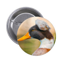 Canard avec le Mohawk Badges Avec Agrafe