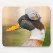 Canard avec le Mohawk Tapis De Souris