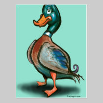 Canard cartes postales