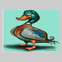 Canard cartes postales
