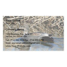 Canard chipeau Drake Cartes De Visite Professionnelles
